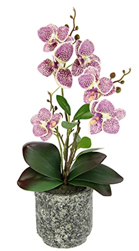 Flair Flower Künstliche Orchidee