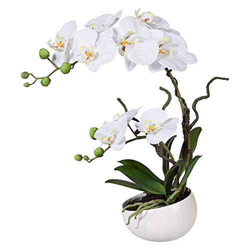 Wohnfuehlidee Künstliche Orchidee