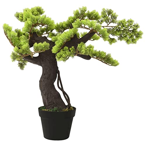 Vidaxl Zypresse Bonsai