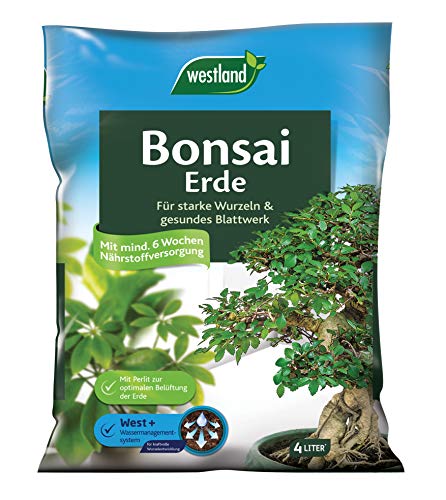 Westland Bonsaierde