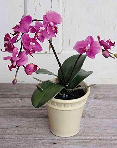 Artplants.De Künstliche Orchidee