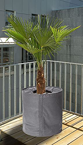 Spetebo Pflanzkübel Für Palmen