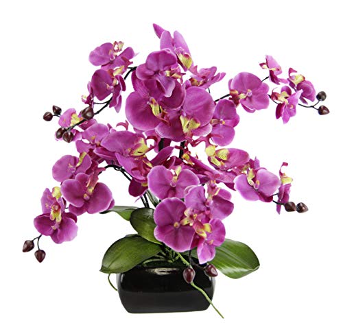 Flair Flower Künstliche Orchidee