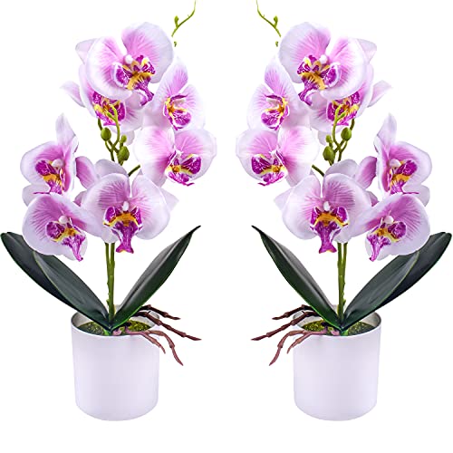 Xonor Künstliche Orchidee