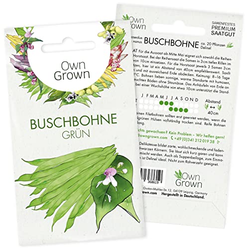 Owngrown Buschbohnen Pflanzen
