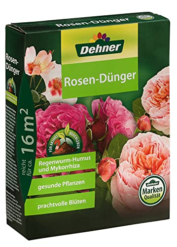 Dehner Rosen Düngen