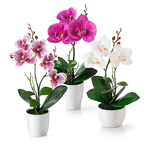 Pasch Künstliche Orchidee